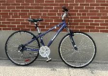 Hybrid Bike