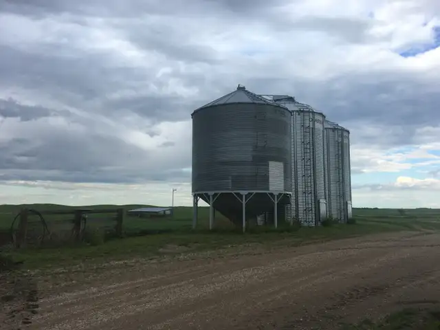 Bins for Sale