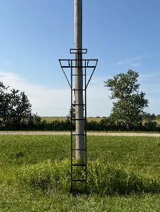 Tree stand , open station