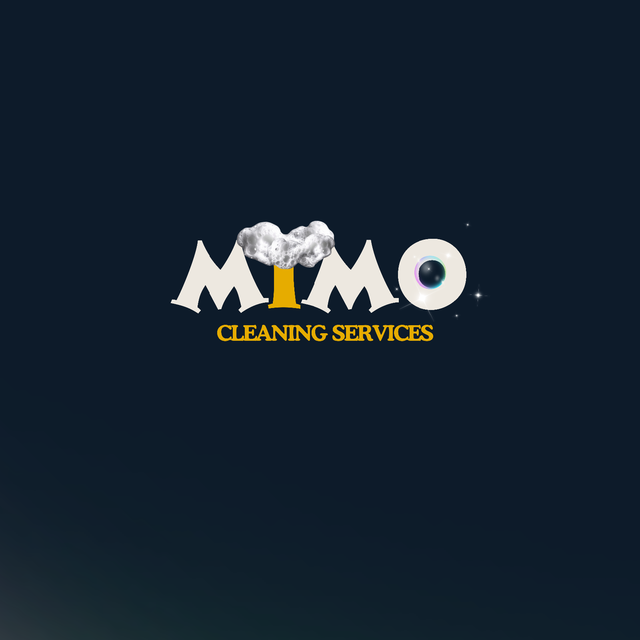 Professional cleaners