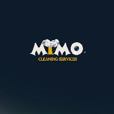 Professional cleaners