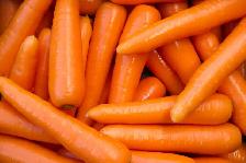Feed Carrots
