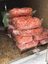 Feed Carrots - Photo 2
