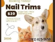 Pet Grooming - Photo 2