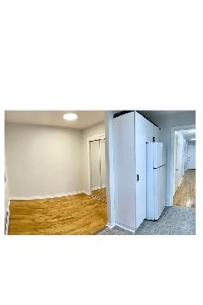 Sunlit 1-Bedroom Apt in LaSalle – Move-In Sept 1st! - Photo 5