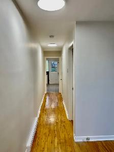 Sunlit 1-Bedroom Apt in LaSalle – Move-In Sept 1st! - Photo 7