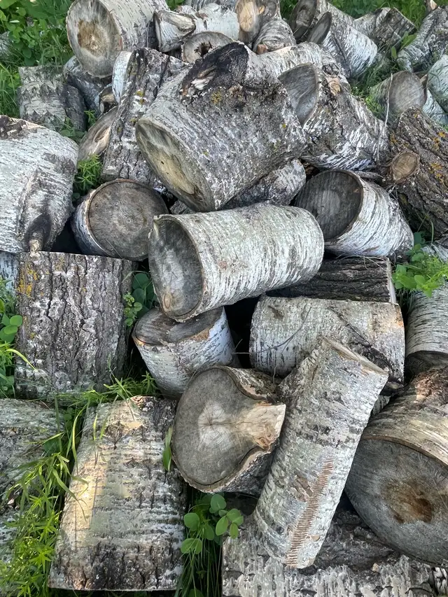Boiler wood (Poplar)