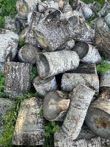 Boiler wood (Poplar)