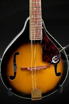 Epiphone MM30 mandolin - Photo 2