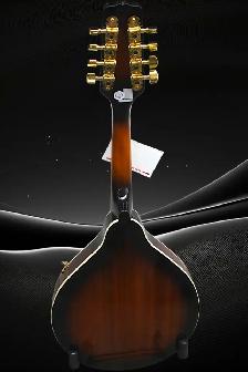 Epiphone MM30 mandolin - Photo 4