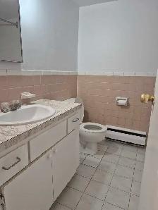 Boisbriand 4 1/2 demi-sous-sol - Photo 5