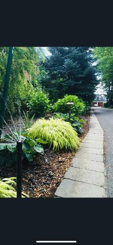 Irrigation & Landscape lighting - Photo 9