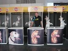 Portable Promo Booth Counter Sampling Table   Custom Graphics - Photo 18