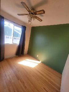 Pet friendly 3-bedroom main floor - Photo 6