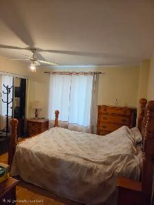 5 1/2 spacious Apartment for Rent - Photo 5