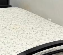A shared, furnished room for rent in Mississauga - Photo 4