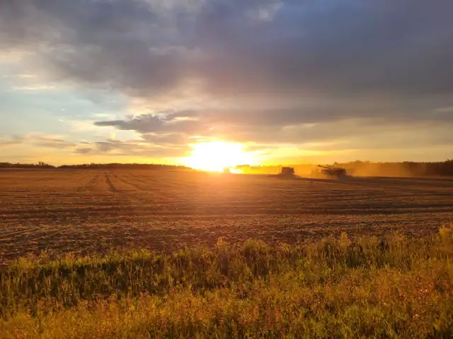 Farm Operators & 1A Drivers (Harvest/Full Time Work)