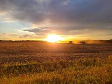 Farm Operators & 1A Drivers (Harvest/Full Time Work)