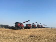 Farm Operators & 1A Drivers (Harvest/Full Time Work) - Photo 2