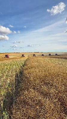 Farm Operators & 1A Drivers (Harvest/Full Time Work) - Photo 4