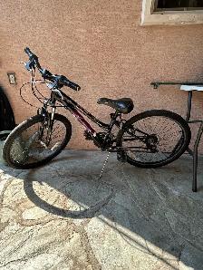 Youth Bike - 24"
