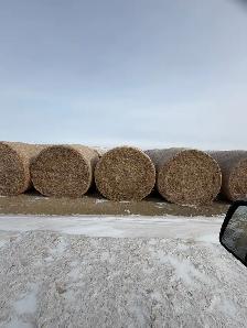 Feed bales