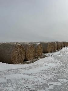 Feed bales - Photo 2