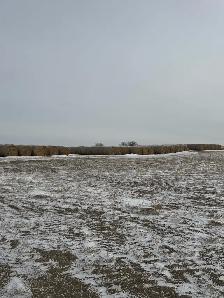 Feed bales - Photo 7