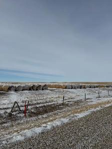 Feed bales - Photo 9