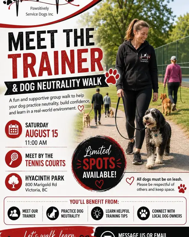 meet the trainer / dog neutrality walk
