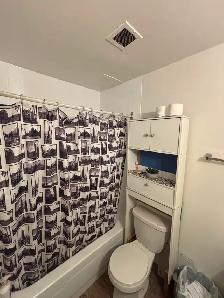 ROOM 4 RENT DT-Pay per week up to 3 weeks@ 330 EACH - Photo 6