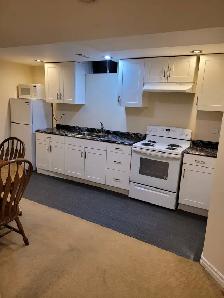 Spacious One Bedroom Basement Apartment for Rent! - Photo 4