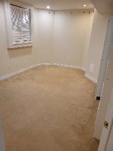 Spacious One Bedroom Basement Apartment for Rent! - Photo 6