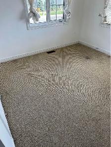 Rug, Carpet And Upholstery Cleaner(Best Shine) - Photo 2