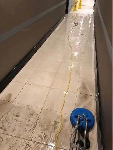 Rug, Carpet And Upholstery Cleaner(Best Shine) - Photo 6