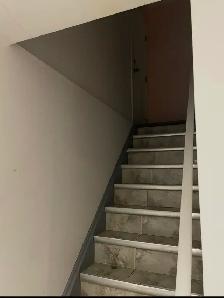 2 bedrooms basement near Humber College - Photo 2