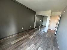 October 1st - One Bedroom Apartment Available - Photo 3