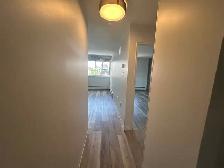 October 1st - One Bedroom Apartment Available - Photo 4