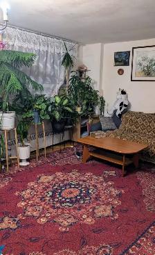 Room for rent - Photo 2