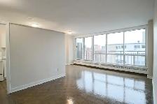 ONE MONTH FREE!    1 Bed Sandy Hill! - Ottawa U/Downtown/Market