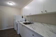 ONE MONTH FREE!    1 Bed Sandy Hill! - Ottawa U/Downtown/Market - Photo 3