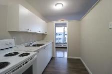 ONE MONTH FREE!    1 Bed Sandy Hill! - Ottawa U/Downtown/Market - Photo 5