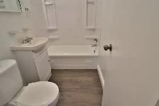 ONE MONTH FREE!    1 Bed Sandy Hill! - Ottawa U/Downtown/Market - Photo 8
