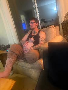 Sweet Sphynx Cat for re homing - Photo 3