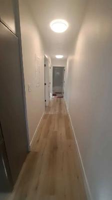 2 Bed 1 Bath Available from September 1st - Photo 4