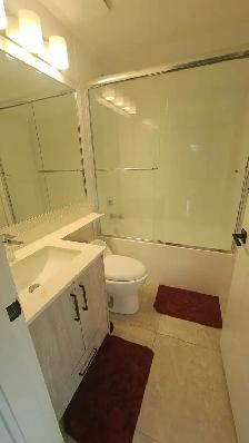2 Bed 1 Bath Available from September 1st - Photo 5