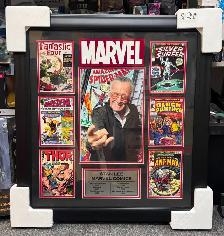 Stan Lee Marvel Comic Books Framed Memorabilia