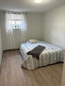 4 Bedroom Student Apartment - Photo 5