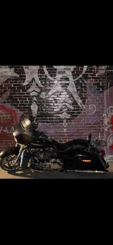 2019 Harley Davidson St.,  Glide. - Photo 4