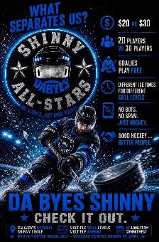shinny hockey - Photo 2